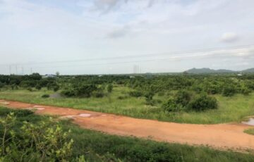 Our Vision To become a leading force in sustainable land development and real estate transformation in Ghana and across the continent.