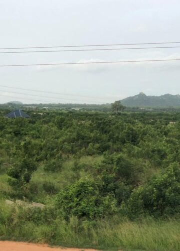 IMG-20250628-WA0024 IMG-20250628-WA0024