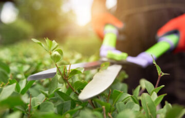 Enhancing property value through professional landscaping services.